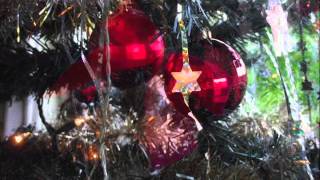 John Denver The Christmas Song