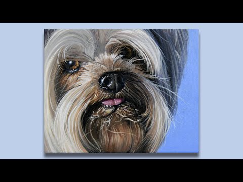 Yorkshire Terrier | Painting Process | Acrylic Painting | For Beginners |# 69 #그림그리기 #art