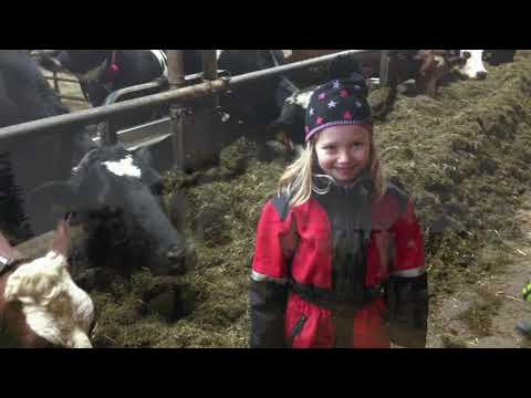 The Farmer Dances To The Rhythm Of Life