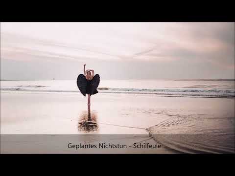 Geplantes Nichtstun - Schilfeule