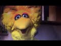 Big Bird S Number Of The Day Book 15 Second Time FAN MADE