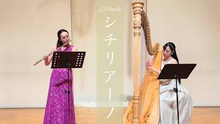 Download lagu J.S.バッハ/シチリアーノ (J.S.Bach / Siciliano) mp3