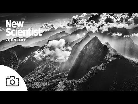 Sebastião Salgado's photographs show the beauty of Amazônia