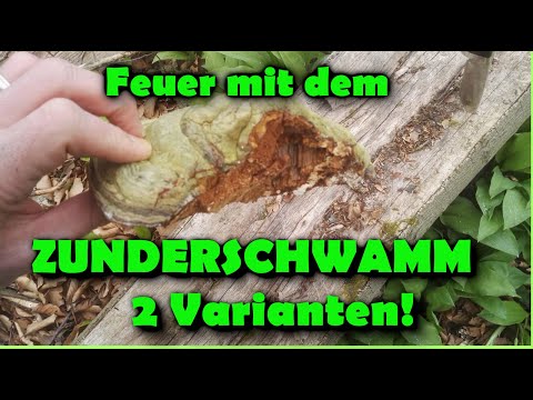 Survivaltipp: Feuer mit dem Zunderschwamm
