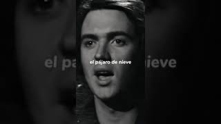 Camilo Sesto - Amor  Amar #camilosesto #lyrics #viral #music