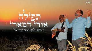אודי דמארי - תפילה  (music prod. by udi damari)