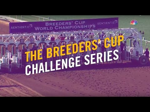 2017 Challenge Series