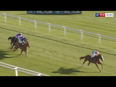 Perfect pedigree! 👀 | Frankel colt SHIPBOURNE stars on debut at Newbury