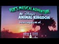 Filk S Musical Adventure At Disney S Animal Kingdom Preview