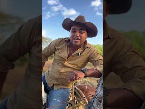 el mono coleador de las Mercedes del llano guarico Venezuela por Dios santo dale llanura 🇻🇪🤠