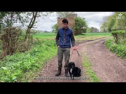 SRUC Gamekeepers and their working dogs