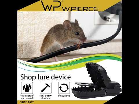 ✅Arturo 1 pc Mouse Snap Trap Rat Mice Squirrel Killer Plastic Power Rodent Catcher Quick