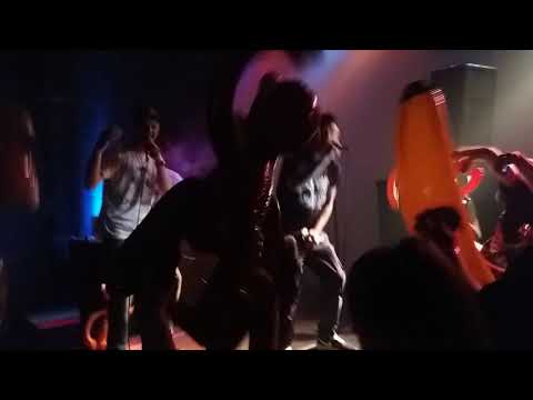 Die Maulaffen Live - Jeder kennt uns @ Affenzirkus Release Jam (Stellwerk, Hamburg)