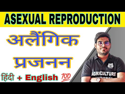 defination allopolyploid allopolyploid kya hai allopolyploid in hindi what is allopolyploid