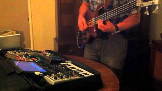 bugs (Electro Harmonix 2880 Looper &amp; Bass)