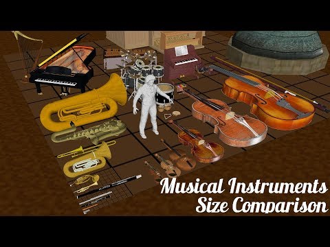 Musical Instruments Size Comparison