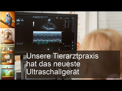 Entdecken Sie unser neuestes Ultraschallgerät in der Tierarztpraxis!