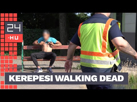 HÉV rendészekkel és tettre kész polgármesterrel eredtünk a kerepesi drogturizmus nyomába | 24.hu