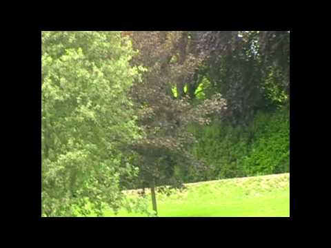 Failing On Catching 66404 Working 4Y19....... Twice