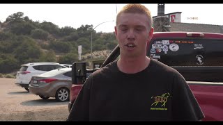 Sheep Fire Evacuations during dangerous fire conditions