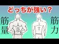デカけりゃ強い訳じゃない!?筋量と力の関係