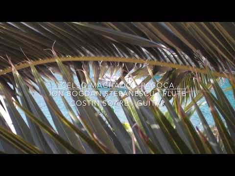 @ionbogdanstefanescu  Machado - Pacoca