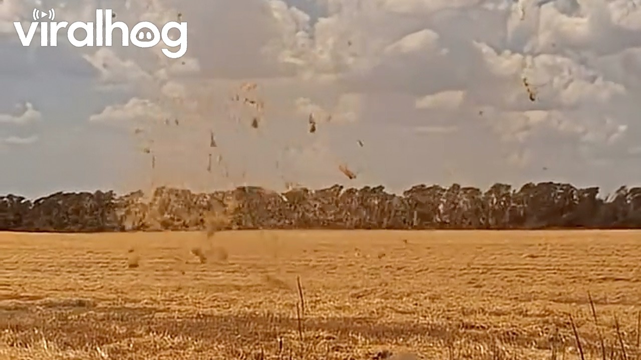 Dust Devil in Russia || ViralHog