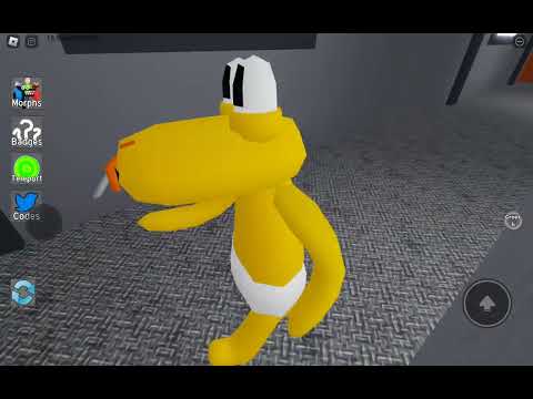 19 de março de 2023