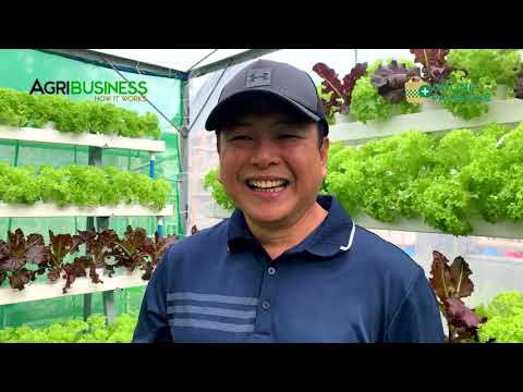 , title : 'MINI FARM sa harap ng bahay FULL VERSION: Hydroponics, Vertical Farming DIY -