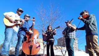 Fat Bottom Girls - Laney Lou and the Bird Dogs