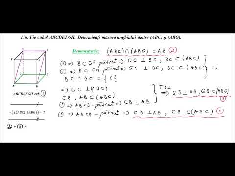 Cl a VIII-a - Recapitulare E N - pb. 116 - unghiul dintre doua plane