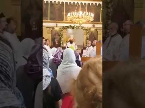 Oglasio se vladika timočki Ilarion: Da li ćemo mirno ćutati i okrenuti glavu protiv sramote