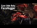 Cute Little Baby FaceHugger 3D Animated Short Film By Arsenii Turgulainen