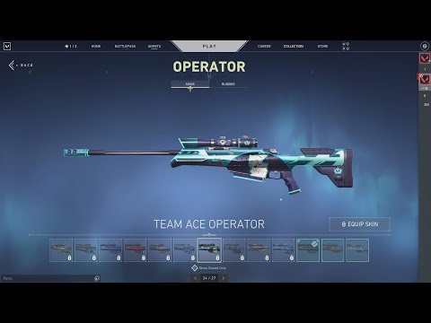 *NEW* Valorant Team Ace Skins & Player Cards (Vandal, Phantom, Operator & MORE)