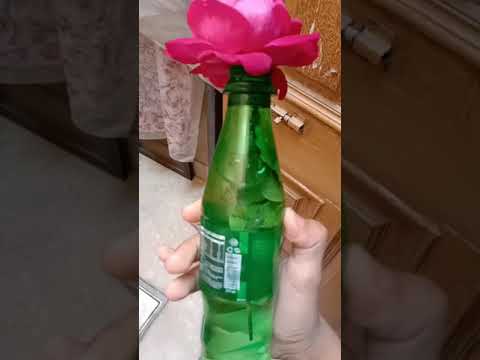 #musfirah #short #flower #in bottle