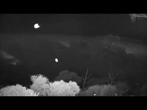 Djuma: Clouds with lightning in the distance - 19:04 - 11/05/2022