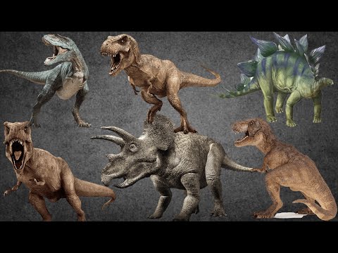 Ankylosaurus (Fully Modified) VS T-Rex, I-Rex, I-Raptor, Spinosaurus and Allosaurus - JWE