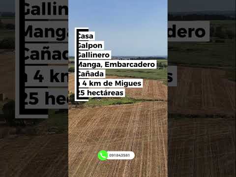 Campo 25 hectáreas Migues Canelones