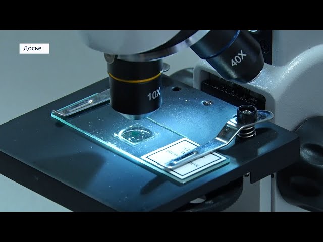 В Иркутской области 17 школ получат новое оборудование