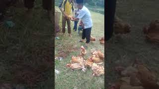 preview picture of video 'Adat nikahan di desa tanjung gelam ogan ilir palembang'