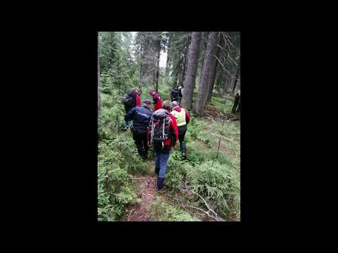 Tânărul în vârstă de 26 de ani, care a fugit de urs, a fost găsit mort în pădure