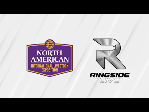 Open Ayrshire Cow Show - NAILE 2025