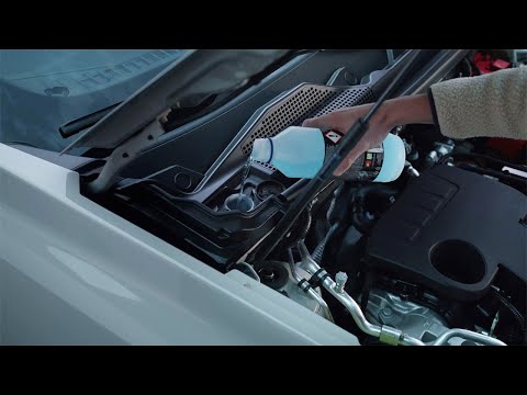 Nuevo Dacia Duster - Niveles de líquido