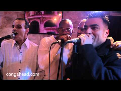 Martin Cohen's 72nd Birthday Party - Zunzun Babae