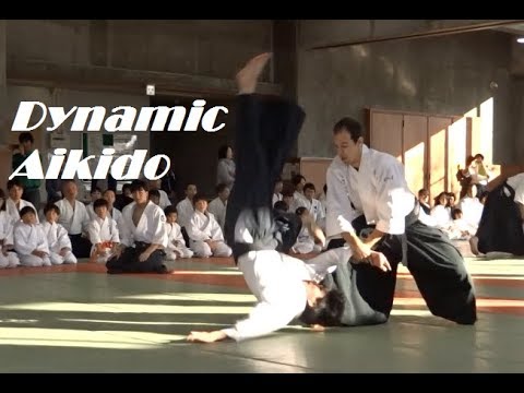 Dynamic Aikido Demonstration in Sendai, 2019
