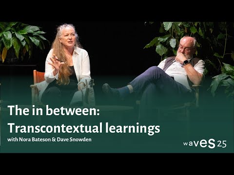 Waves 25: The in between: Transcontextual learnings with Nora Bateson Dave Snowden