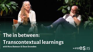Waves 25: The in between: Transcontextual learnings with Nora Bateson Dave Snowden
