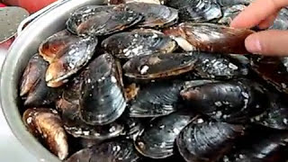 preview picture of video 'Stuffed mussels'
