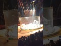 Tigers At Ringling Brothers