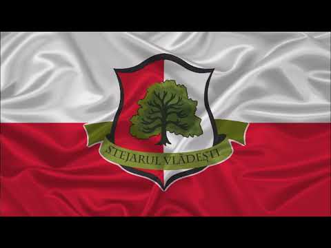 IMNUL OFICIAL STEJARUL VLADESTI